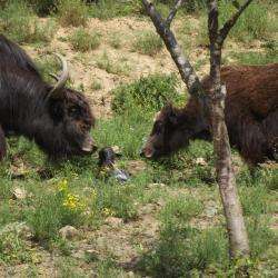 Parc Animalier