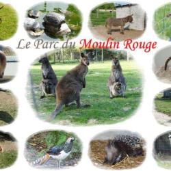 Parc Animalier Du Moulin Rouge
