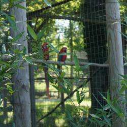 Parc Animalier Reynou