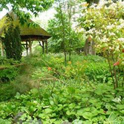 Parc Blondlot