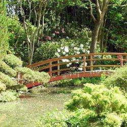 Parc Botanique De La Teyssonniere