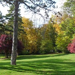 Parc De Champagne