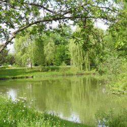 Parc De L' Abbaye