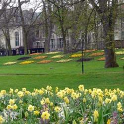 Parc De La Pépinière