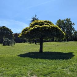 Parc De La Roseraie Saint Nicolas