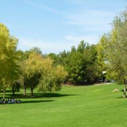 Parc De La Torse