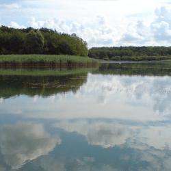 Parc De Loisirs Lac De Madine