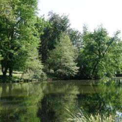 Parc De Majolan