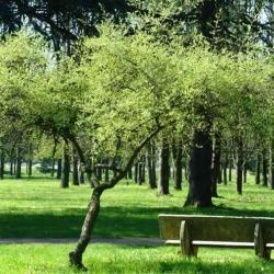 Parc De Parilly