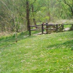 Parc Départemental Du Morbras