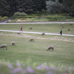 Parc Départemental Georges Valbon