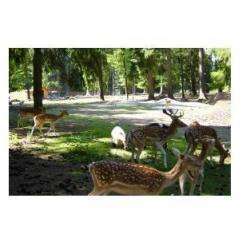 Parc Des Dronières