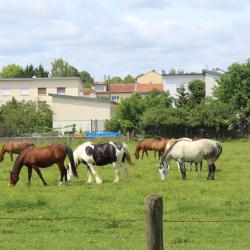Parc Des étangs