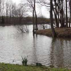 Parc Du Bois De L' étang