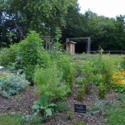 Parc Du Cornoir