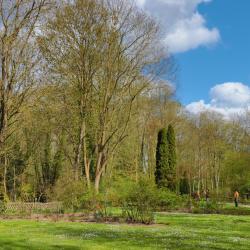 Parc Du Moulin à Tan