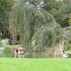 Parc Du Val Ombreux