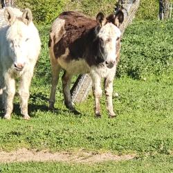 Parc Du Waterlin