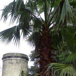 Parc Emmanuel Liais