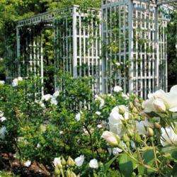 Parc Floral La Roseraie