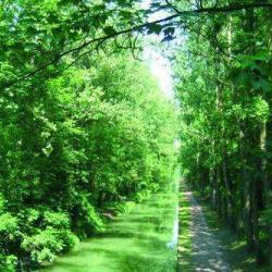 Parc Forestier De La Poudrerie