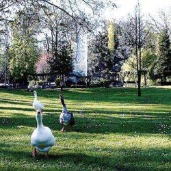 Parc Lefèvre