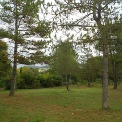 Parc Morellon