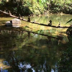 Parc National De La Guadeloupe