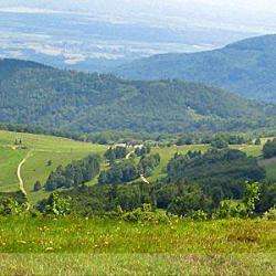 Parc Naturel Des Ballons Des Vosges