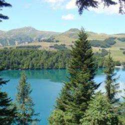 Parc Naturel Des Volcans D'auvergne