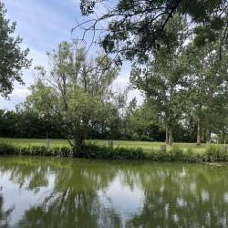 Parc Naturel Du Marais Poitevin