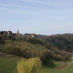 Parc Naturel Régional Des Vosges Du Nord