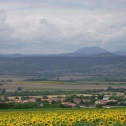 Parc Naturel Regional Livradois Forez