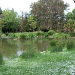 Parc Olbius Riquier
