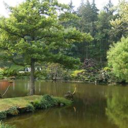 Parc Oriental De Maulévrier