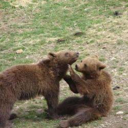 Parc'ours Espace Animalier