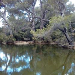 Parc Pastré