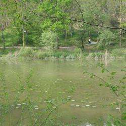 Parc Saint Nicolas