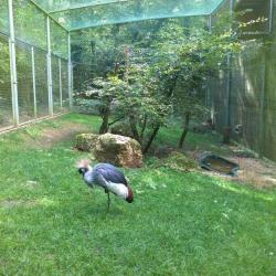 Parc Zoologique