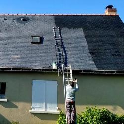 Parent Renovation