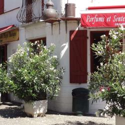 Parfums Et Senteurs Du Pays Basque