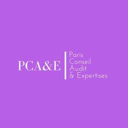 Paris Conseil Audit & Expertises
