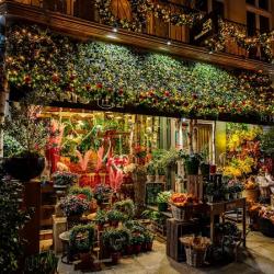 Paris Fleuri