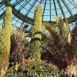 Paris Jardin