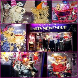 Paris New-york
