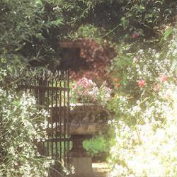 Paris Tropic - Paysagiste