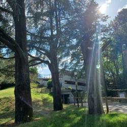 Parking Des Cèdres