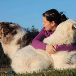 Parle A Ton Chien