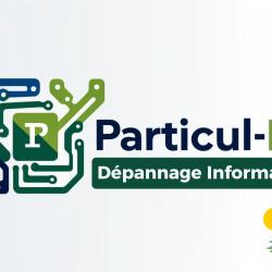 Particul-it