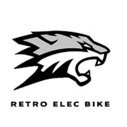 Retro Elec Bike